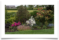 rn. Gardening, gardening, gardening r - Richard Nicholls